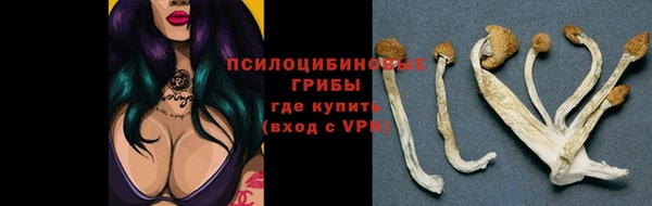 герыч Медногорск