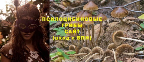 марки lsd Мегион