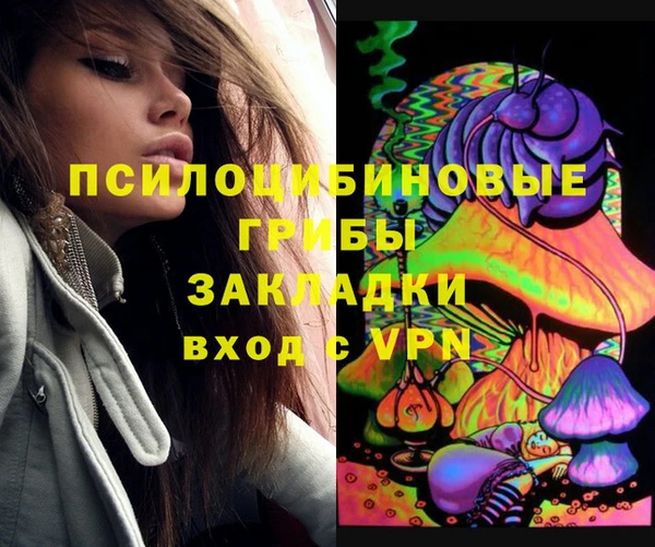герыч Медногорск