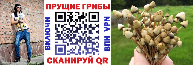 купить ОМГ ОМГ ССЫЛКА Псилоцибиновые грибы ЛСД Тимашёвск